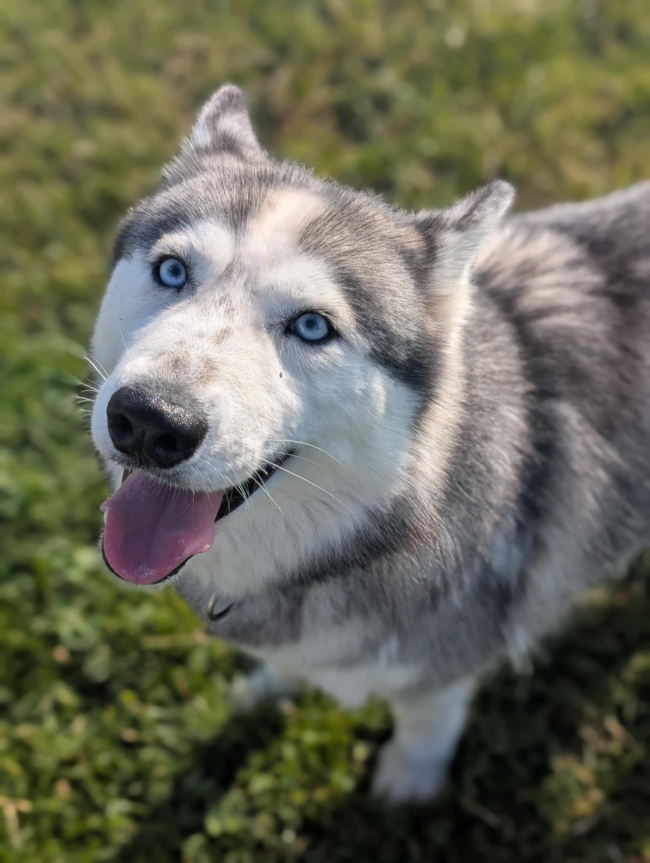 DELTA, RÉSERVÉE
