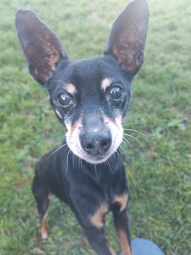 HUGO et ZAZA, RÉSERVÉS